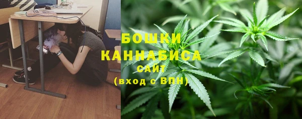 ешки Медногорск