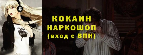 ешки Медногорск