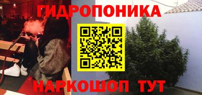 стаф Балаково