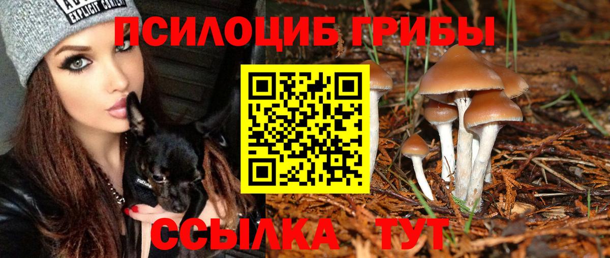 Галлюциногенные грибы Cubensis Гуково
