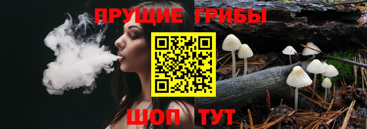Псилоцибиновые грибы MAGIC MUSHROOMS  Псилоцибиновые грибы мухоморы  Гуково  Вход с VPN 
